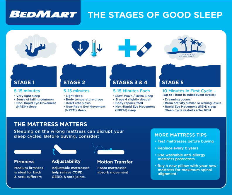 Sleep Stages Infographic