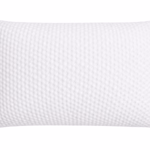 Aspen LatexCore Pillow